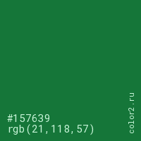 цвет #157639 rgb(21, 118, 57) цвет