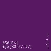 цвет #581B61 rgb(88, 27, 97) цвет