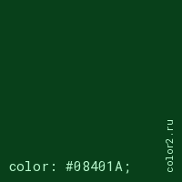 цвет css #08401A rgb(8, 64, 26)
