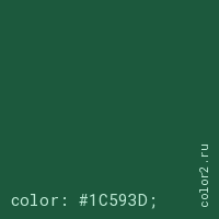 цвет css #1C593D rgb(28, 89, 61)