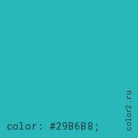 цвет css #29B6B8 rgb(41, 182, 184)