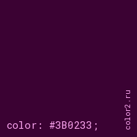 цвет css #3B0233 rgb(59, 2, 51)