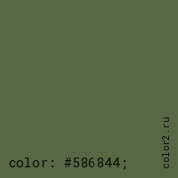 цвет css #586844 rgb(88, 104, 68)