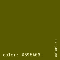 цвет css #595A00 rgb(89, 90, 0)