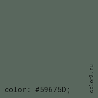 цвет css #59675D rgb(89, 103, 93)