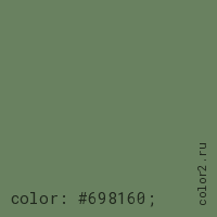 цвет css #698160 rgb(105, 129, 96)
