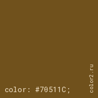 цвет css #70511C rgb(112, 81, 28)