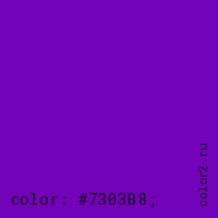 цвет css #7303B8 rgb(115, 3, 184)