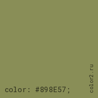 цвет css #898E57 rgb(137, 142, 87)