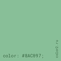 цвет css #8AC097 rgb(138, 192, 151)
