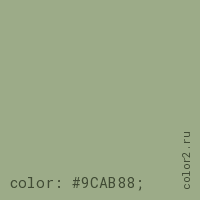 цвет css #9CAB88 rgb(156, 171, 136)