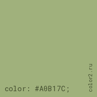 цвет css #A0B17C rgb(160, 177, 124)