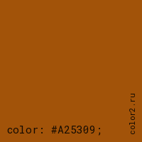 цвет css #A25309 rgb(162, 83, 9)