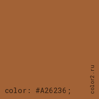 цвет css #A26236 rgb(162, 98, 54)