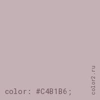 цвет css #C4B1B6 rgb(196, 177, 182)