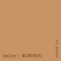 цвет css #C89365 rgb(200, 147, 101)