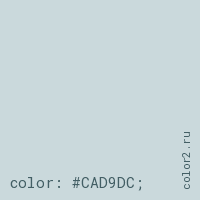цвет css #CAD9DC rgb(202, 217, 220)