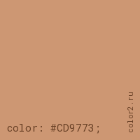 цвет css #CD9773 rgb(205, 151, 115)