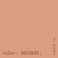 цвет css #DC9B83 rgb(220, 155, 131)