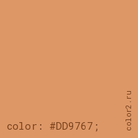 цвет css #DD9767 rgb(221, 151, 103)