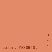 цвет css #E38B68 rgb(227, 139, 104)