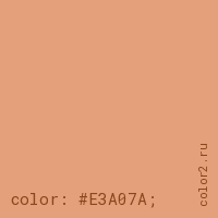 цвет css #E3A07A rgb(227, 160, 122)