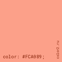 цвет css #FCA089 rgb(252, 160, 137)