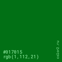 цвет #017015 rgb(1, 112, 21) цвет