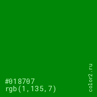 цвет #018707 rgb(1, 135, 7) цвет