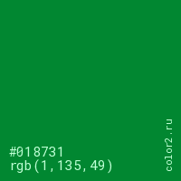 цвет #018731 rgb(1, 135, 49) цвет