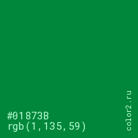цвет #01873B rgb(1, 135, 59) цвет