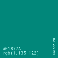 цвет #01877A rgb(1, 135, 122) цвет