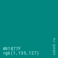 цвет #01877F rgb(1, 135, 127) цвет