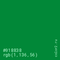цвет #018838 rgb(1, 136, 56) цвет