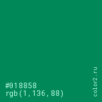 цвет #018858 rgb(1, 136, 88) цвет