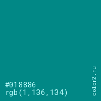 цвет #018886 rgb(1, 136, 134) цвет