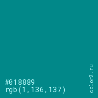 цвет #018889 rgb(1, 136, 137) цвет