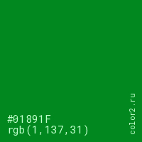 цвет #01891F rgb(1, 137, 31) цвет