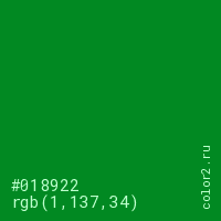 цвет #018922 rgb(1, 137, 34) цвет
