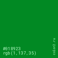 цвет #018923 rgb(1, 137, 35) цвет