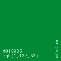 цвет #018935 rgb(1, 137, 53) цвет