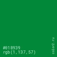 цвет #018939 rgb(1, 137, 57) цвет