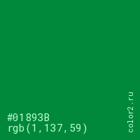 цвет #01893B rgb(1, 137, 59) цвет