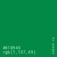 цвет #018945 rgb(1, 137, 69) цвет
