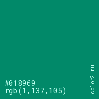 цвет #018969 rgb(1, 137, 105) цвет