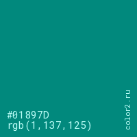 цвет #01897D rgb(1, 137, 125) цвет