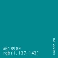 цвет #01898F rgb(1, 137, 143) цвет