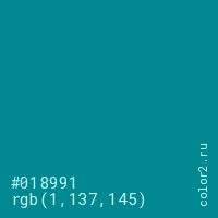 цвет #018991 rgb(1, 137, 145) цвет