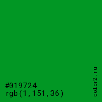 цвет #019724 rgb(1, 151, 36) цвет
