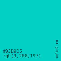 цвет #03D0C5 rgb(3, 208, 197) цвет